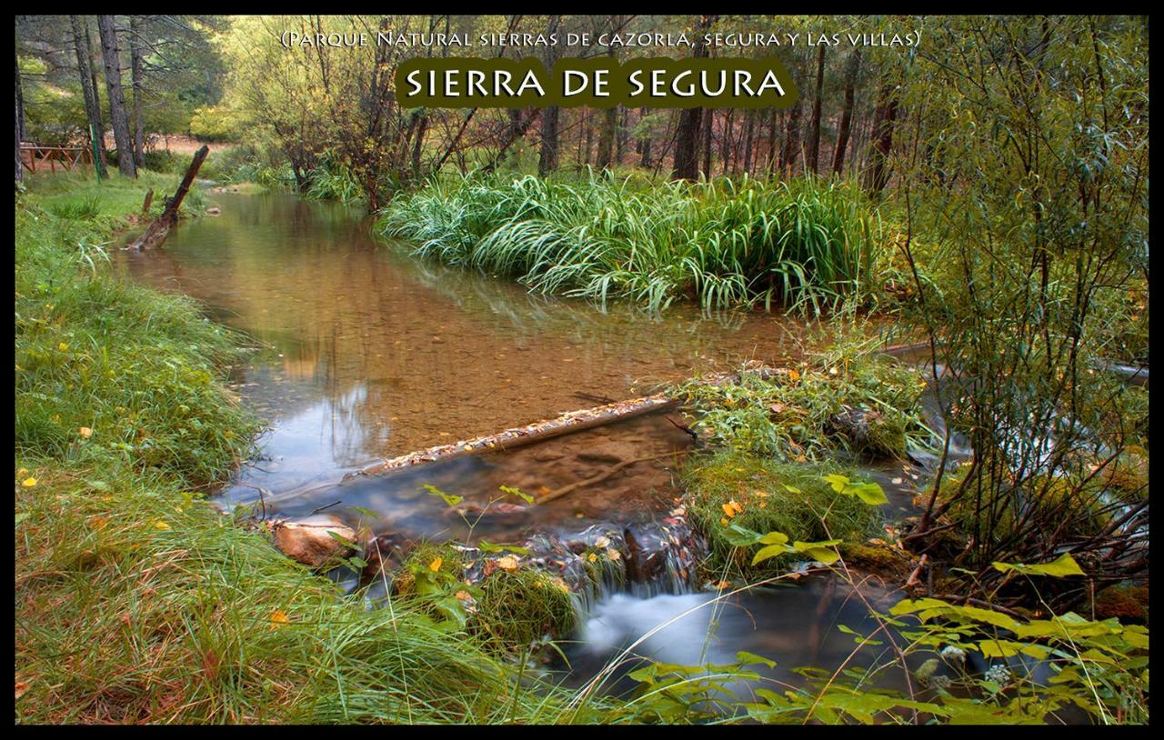 La Puerta de Segura La Vieja Parra 게스트하우스 외부 사진
